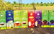 Một hệ sinh thái 'tiếp sức thiết thực' nhìn từ câu chuyện 'tự bơi' của một doanh nghiệp