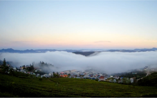 Cuối tuần, ngắm suối mây nõn nà trên núi đồi Đà Lạt