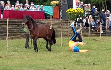 'Cười bò' với hội đua ngựa mỗi năm chỉ một lần tổ chức vào dịp Tết