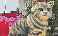 Cựu sinh viên Đại học Duy Tân là cha đẻ của 'hoa hậu mèo' 2023