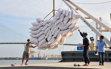 Giá gạo Việt Nam có thời điểm cao nhất thế giới, nông dân lời hơn 100%