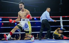 Trương Đình Hoàng, Nguyễn Ngọc Hải giành đai vô địch WBA