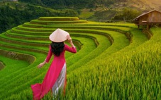 Việt Nam là 1 trong 5 điểm đến hấp dẫn nhất hè này