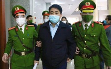 Ông Nguyễn Đức Chung cho người đang trốn nợ trồng cây xanh ở Hà Nội