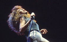 Chia tay nữ hoàng bọ cạp Tina Turner