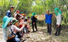 Gác kèo ong - chuyện cổ tích có thật ở rừng U Minh - Kỳ 5: Nghề gác kèo ong vẫn 'hái ra tiền'