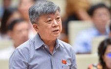 Cứ sau sự cố lại sửa quy định, tạo thêm vô số 'vòng kim cô' cho doanh nghiệp