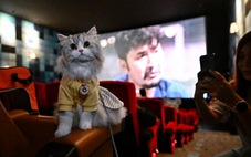 Thái Lan khai trương rạp phim đầu tiên dành cho thú cưng