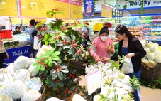Mang sản vật Tây Ninh đi khắp cả nước