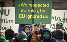 5 quốc gia EU tiếp tục cấm ngũ cốc Ukraine đến tháng 9-2023