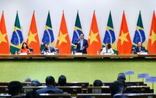 Thủ tướng: Việt Nam và Brazil có mối lương duyên