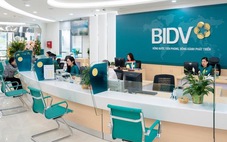 BIDV - ngân hàng đầu tiên được chọn phục vụ chi trả giảm phát thải carbon ở Việt Nam