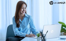 Dân văn phòng được gì khi chọn laptop doanh nghiệp chuyên dụng?
