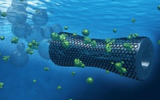 Chế tạo robot biết bơi có thể phát hiện mầm bệnh, ô nhiễm