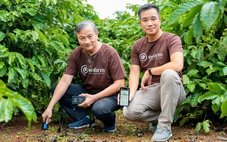 Enfarm bắt bệnh kê toa cho đất