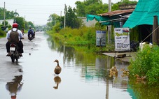 Làm đường không có cống thoát nước, hàng trăm người dân khốn khổ vì ngập