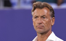 Saudi Arabia tái bổ nhiệm HLV Herve Renard sau khi sa thải Roberto Mancini