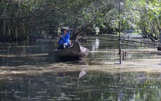 Ngồi xuồng du lịch sinh thái Gáo Giồng phải gồng... nín thở