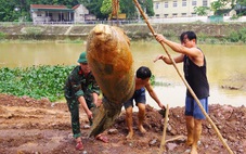 Trục vớt quả bom còn sót lại sau chiến tranh đưa đi hủy nổ