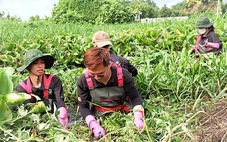 Lập đội nhóm, nối dài vòng tay của Hội Liên hiệp Thanh niên Việt Nam