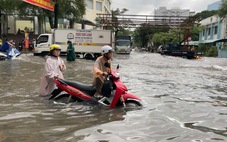 Mưa hơn 221mm đúng lúc triều cường, Bạc Liêu chìm trong biển nước