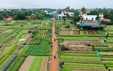 Làng rau cổ gần 400 năm ở Hội An thành 'làng du lịch tốt nhất thế giới'