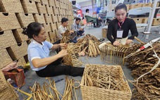 Sản phẩm OCOP gặp khó vì đụng hàng nhái, giả tràn lan