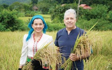 Thơ mộng làng hạnh phúc 'cơm chung nồi, tiền chung túi' Thái Hải