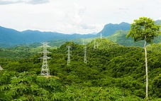 Điện gió Lào ào về Việt Nam?
