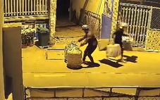 3 thanh niên trộm 7 lồng chim ở Hóc Môn trong 10 phút