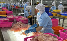 Đơn hàng bỗng nhiều lại, xuất khẩu 'loại cá tỉ USD' của Việt Nam tăng trưởng