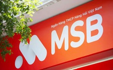 MSB Lâm Đồng chuyển địa điểm hoạt động