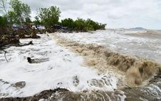 Cà Mau cần 31.000 tỉ cho đề án chống sạt lở bờ biển bờ sông