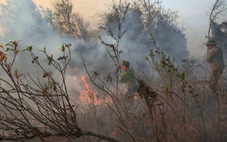 Một phụ nữ thiệt mạng khi tham gia chữa cháy rừng