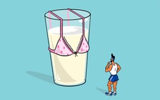 Uống sữa đậu nành có làm nam giới 'nữ hóa'?