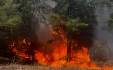 Vẫn chưa dập được đám cháy rừng phòng hộ ở Quảng Bình