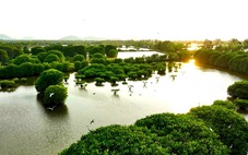 Du khách đến Hà Tiên chằm lá dừa, câu cá và ngồi vỏ lãi ngắm vẻ đẹp đầm Đông Hồ