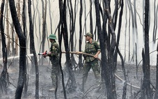 Đã dập được lửa cháy rừng ở Giang Thành