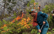 Vụ cháy rừng ở Nghệ An: Công an làm việc với 4 người đốt lửa