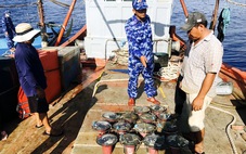 Một tàu cá giấu thiết bị giám sát hành trình của 14 tàu cá khác