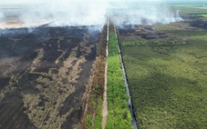Rừng ở Giang Thành, Kiên Giang bị cháy khoảng 371 ha