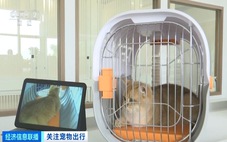 Trung Quốc khai trương phòng chờ cho thú cưng ở sân bay