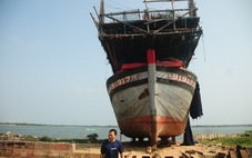 Yêu cầu hỗ trợ ngư dân ra biển trước lệnh cấm đánh bắt cá từ Trung Quốc