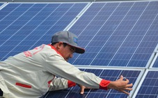 Loạt dự án điện mặt trời mái nhà 'núp bóng' trang trại có nguy cơ bị ngừng thanh toán tiền điện