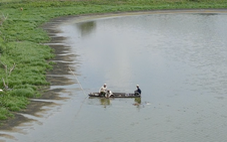 Trại nuôi heo xả nước thải hôi thối ra danh thắng quốc gia hồ Lắk