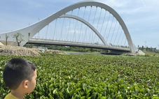'Giải cứu' sông Cổ Cò ở Quảng Nam với vốn nghìn tỉ đang bị tắc, vì sao?