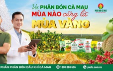 Nông nghiệp Việt: Khi công nghệ cao đi vào phân bón
