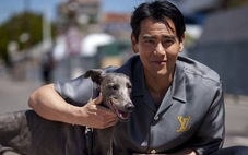 Phim của Bành Vu Yến và chú chó Xin đoạt giải ở Cannes