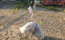 Hàn Quốc tố Triều Tiên thả bóng bay rác thải qua biên giới