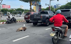 Chủ kéo lê hai chú chó sau xe bán tải: ‘Xin mọi người tha thứ’